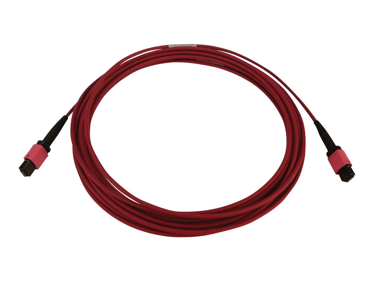 Eaton Tripp Lite Series 100G Multimode 50/125 OM4 Fiber Optic Cable (12F MTP/MPO-PC F/F), LSZH, Magenta, 5 m (16.4 ft.)