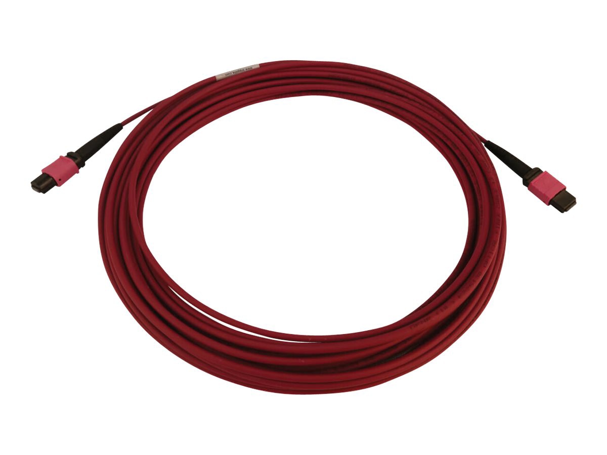 Eaton Tripp Lite Series 100G Multimode 50/125 OM4 Fiber Optic Cable (12F MTP/MPO-PC F/F), LSZH, Magenta, 10 m (32.8 ft.)