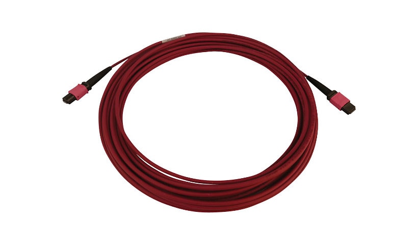 Eaton Tripp Lite Series 100G Multimode 50/125 OM4 Fiber Optic Cable (12F MTP/MPO-PC F/F), LSZH, Magenta, 10 m (32.8 ft.)