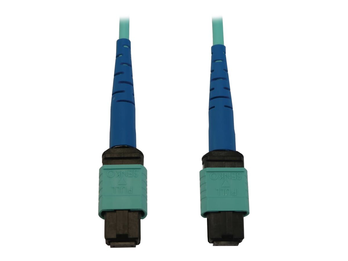 Tripp Lite Fiber Optic Cable 40/100/400G MMF 50 OM3 24F MTP/MPO-PC F/F ...