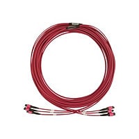 Tripp Lite Fiber Optic Cable 40/100/400G MMF 50 OM4 3x8F MTP/MPO-PC F/F 23M