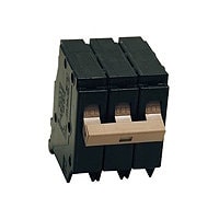 Tripp Lite 208V 20A Circuit Breaker for Rack Distribution Cabinet Applicati