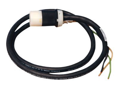 Eaton Tripp Lite Series 5ft Single Phase Whip 120V L5-20R for Breakered 3-Phase Distribution Cabinets 5' - power cable -