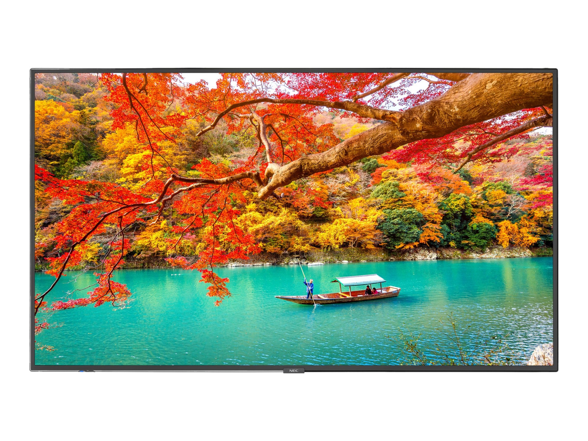 NEC MultiSync MA431-PC5 MA Series - 43" LED-backlit LCD display - 4K - for digital signage