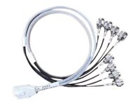 Cisco câble d'antenne - 91.5 cm