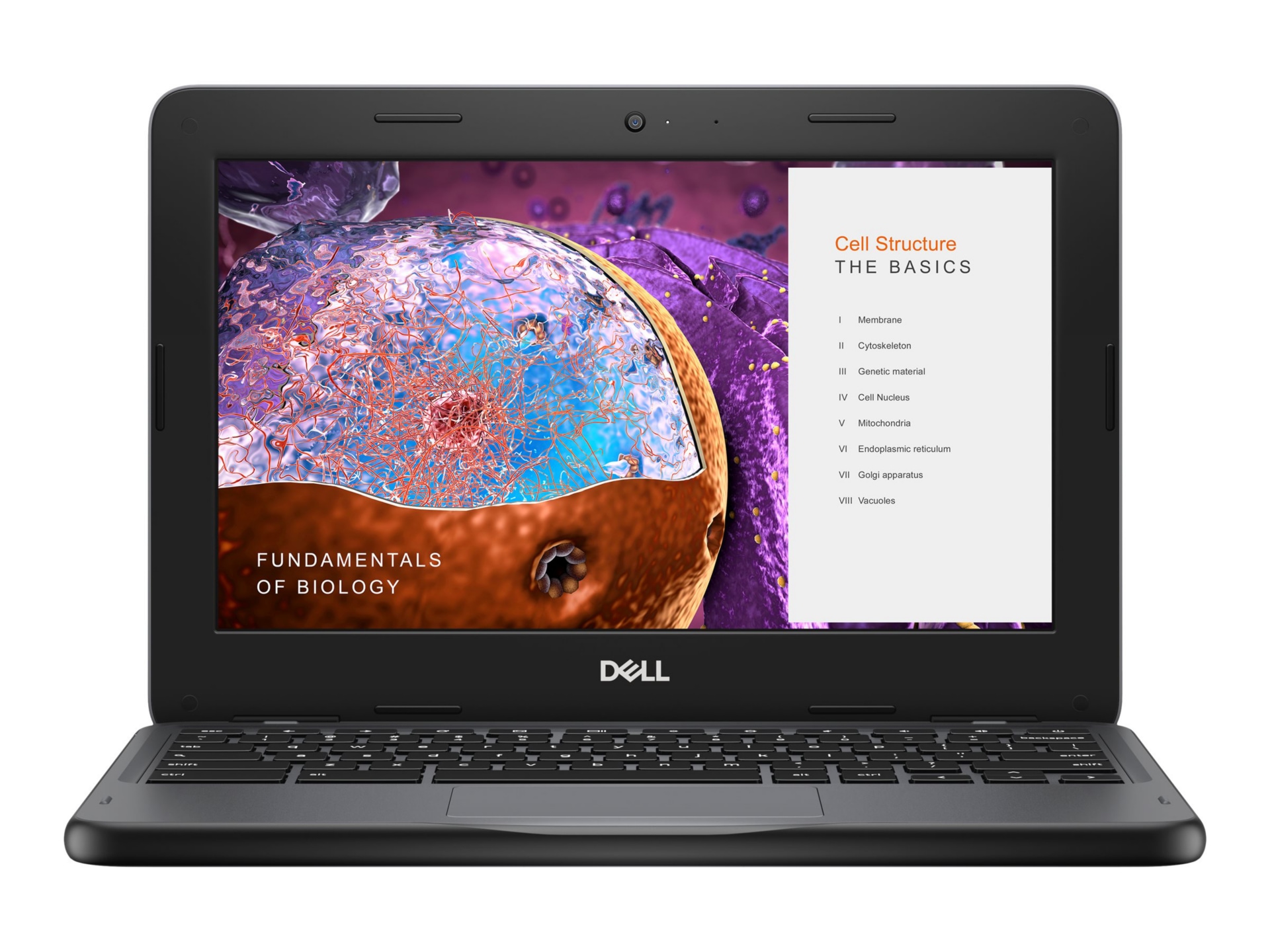 Thumbnail 3 of 10 for Dell Chromebook 3110 2in1 (2024) - 11.6" - Intel Celeron - N4500 - 4 GB RAM - 32 GB eMMC