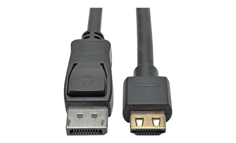 schot twijfel binnenkort Tripp Lite DisplayPort 1.4 to HDMI Active Adapter Cable (M/M), 4K 60 Hz, 4:4 :4, HDR, HDCP 2.2, 20 ft. (6.1 m) - adapter - P582-020-HD-V4A - Audio &  Video Cables - CDW.com