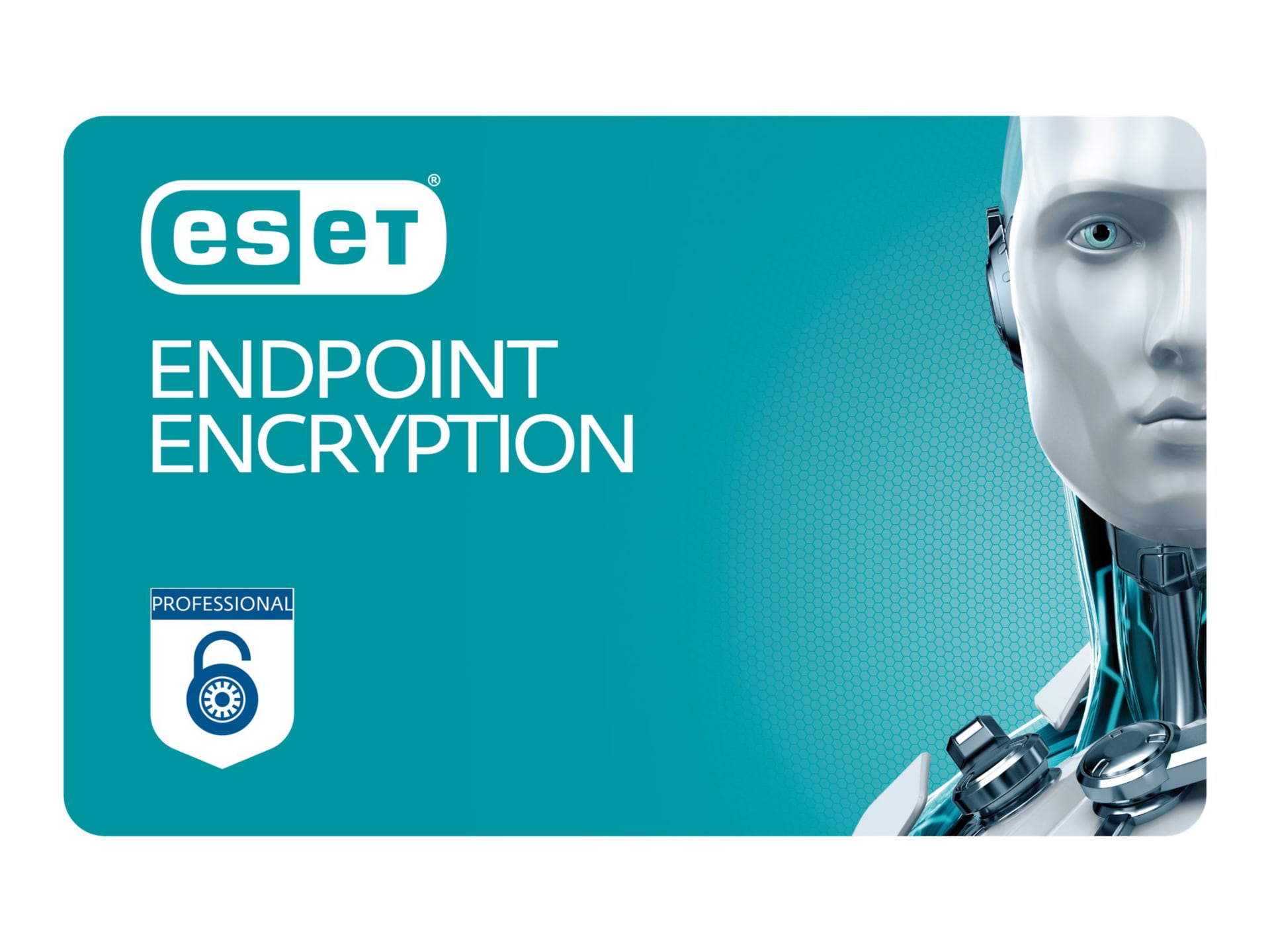 ESET Endpoint Encryption Professional Edition - subscription license renewal (3 years) - 1 device