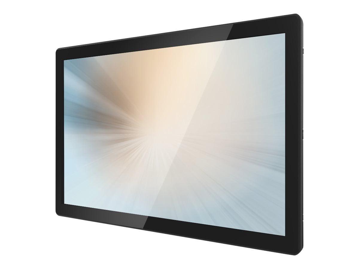 MicroTouch OF-195P-A1 - LCD monitor - Full HD (1080p) - 19.5"