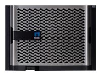 NetApp All Flash FAS AFF A900 HA - NAS server