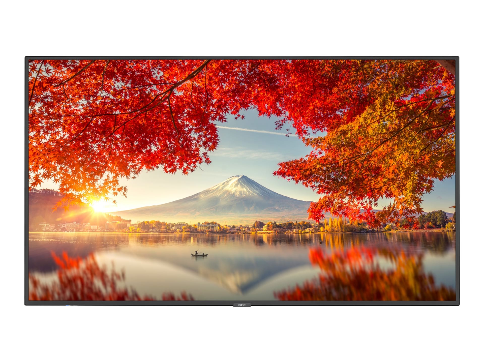 Main image 1 for NEC MultiSync MA551-PC5 MA Series - 55" LED-backlit LCD display - 4K - for digital signage