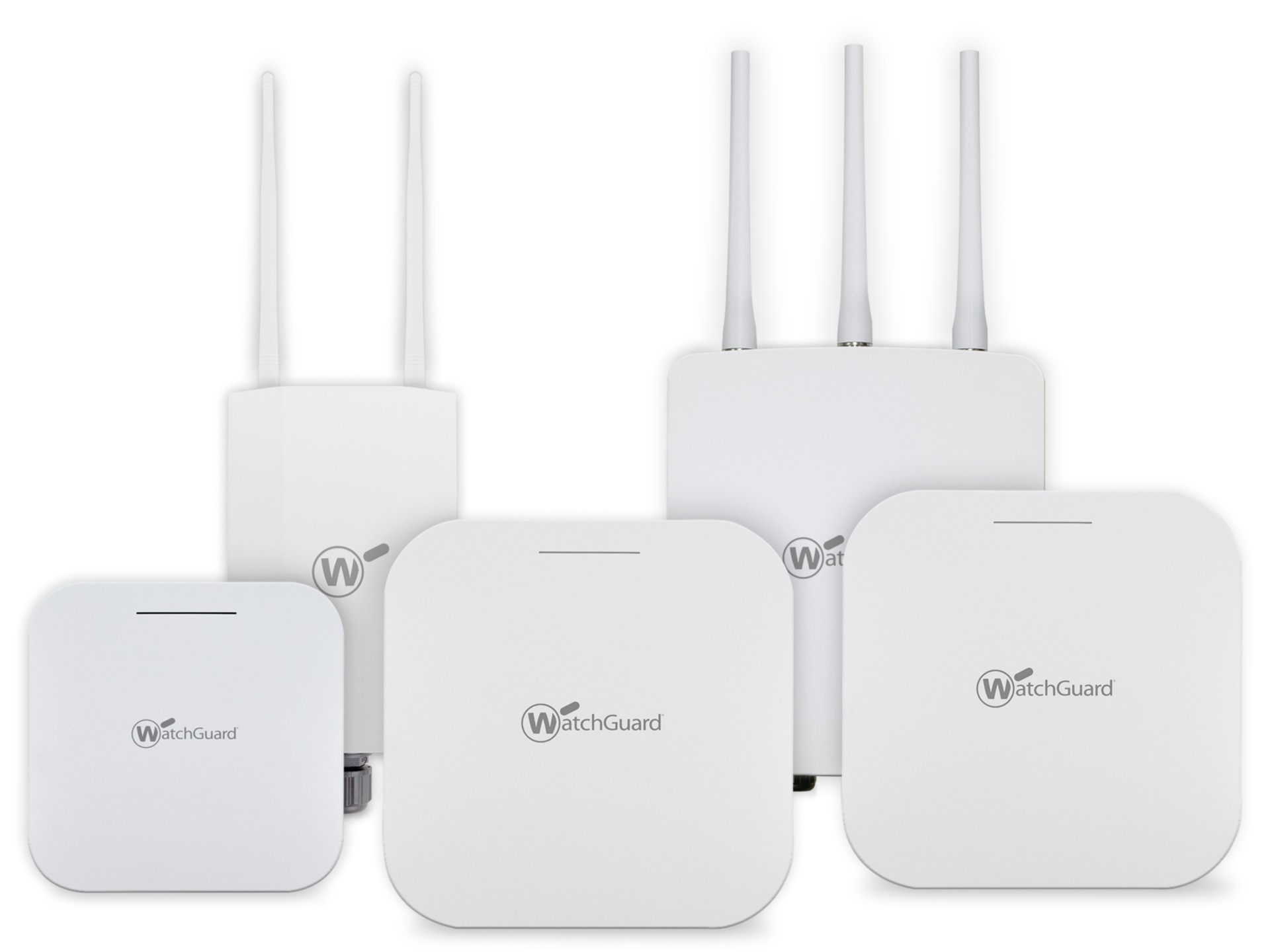 WatchGuard Standard Wi-Fi Management - License - 5 Year