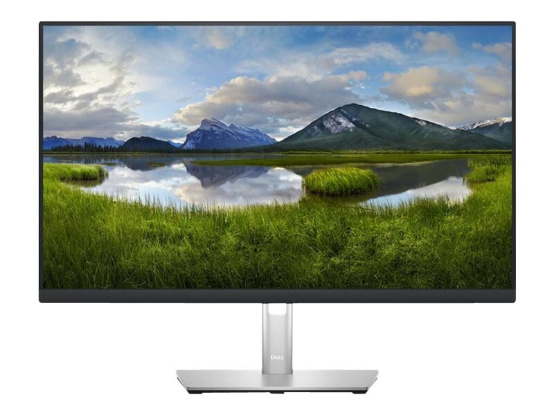 Dell P2423DE - LED monitor - QHD - 24" - TAA Compliant - with 3-year Basic