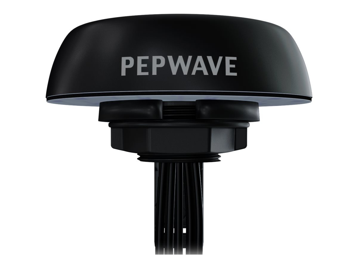 Peplink | Pepwave Puma 401 - antenna