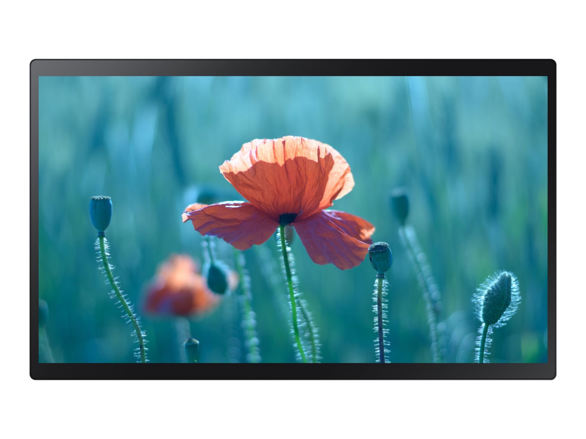 Samsung QB24R-TB QBR-TB Series - 24" Class (23.8" viewable) LED-backlit LCD display - Full HD - for digital signage /