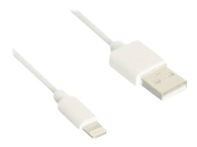 B3E Lightning cable - Lightning / USB - 3 ft