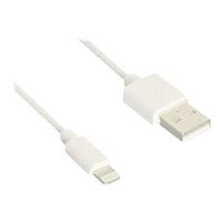 B3E Lightning cable - Lightning / USB - 3 ft