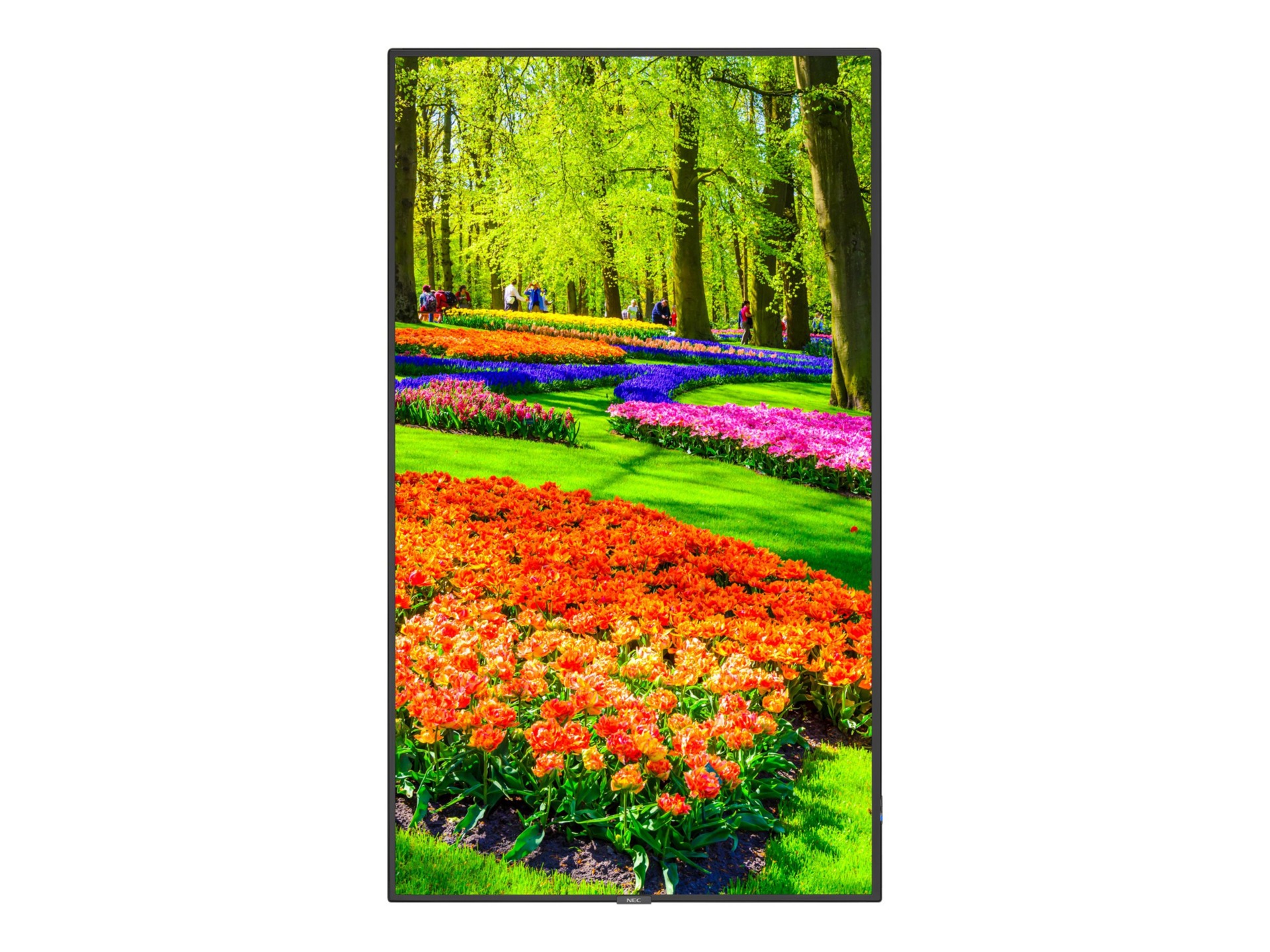 NEC MultiSync M431-IR M Series - 43" LED-backlit LCD display - 4K - for digital signage