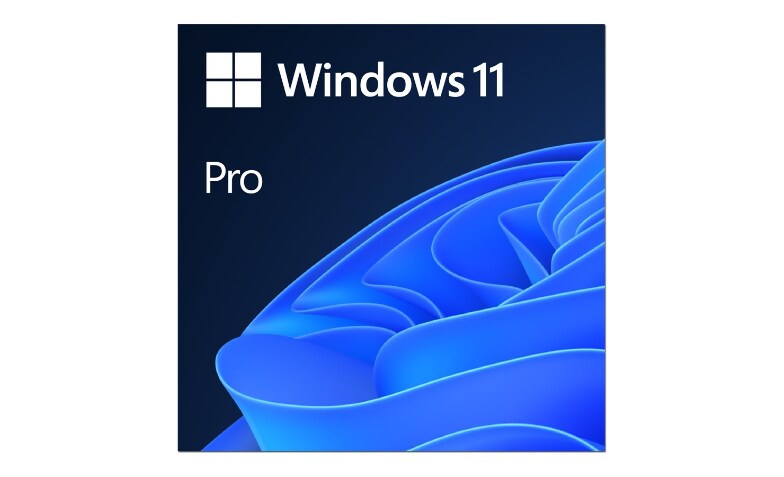 Windows 11 Pro (1pc License) - ESD