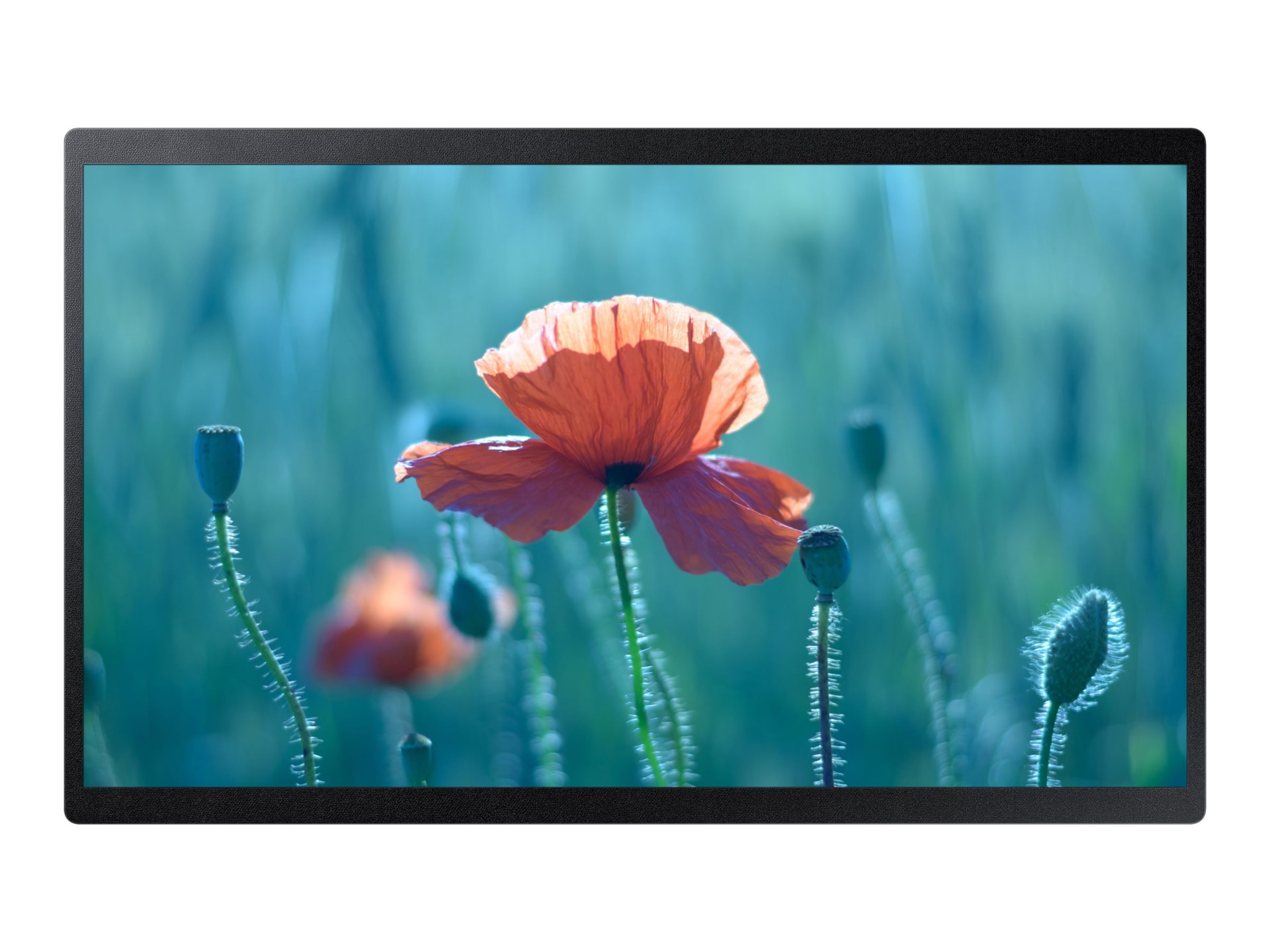 Samsung QB24R-B QBR-B Series - 24" Class (23.8" viewable) LED-backlit LCD display - Full HD - for digital signage