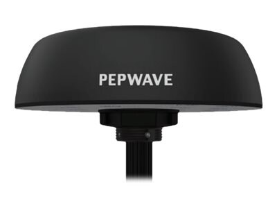 Peplink Mobility 42G Antenna - Black