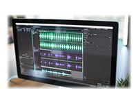 Adobe Audition Pro for enterprise - Subscription New - 1 user
