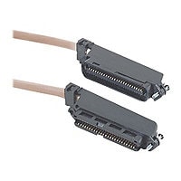 Black Box 25' Cat3 25-Pair Male 50-Pin Telco to Male 50-Pin Telco Cabl