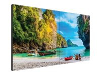 Planar VM55LX-M2 VM Series - 55" LED-backlit LCD display - Full HD - for di