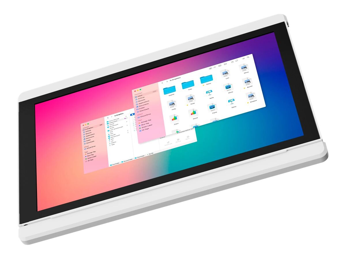 Mobile Pixels DUEX Lite - LCD monitor - Full HD (1080p) - 12.5"