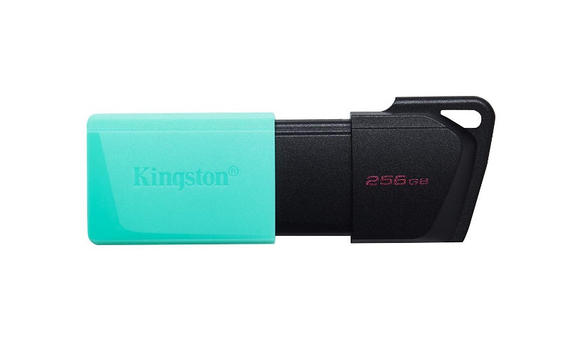Kingston DataTraveler Exodia M - USB flash drive - 256 GB
