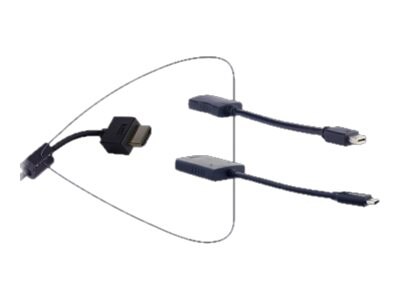 Liberty DIGITALINX DL-AR1979 - video / audio adapter kit - DisplayPort / HD