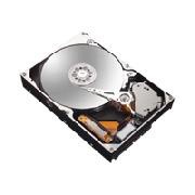 Maxtor MaXLine III - hard drive - 300 GB - SATA-150