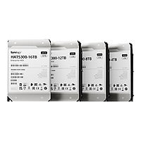 Synology HAT5300 - hard drive - 4 TB - SATA 6Gb/s