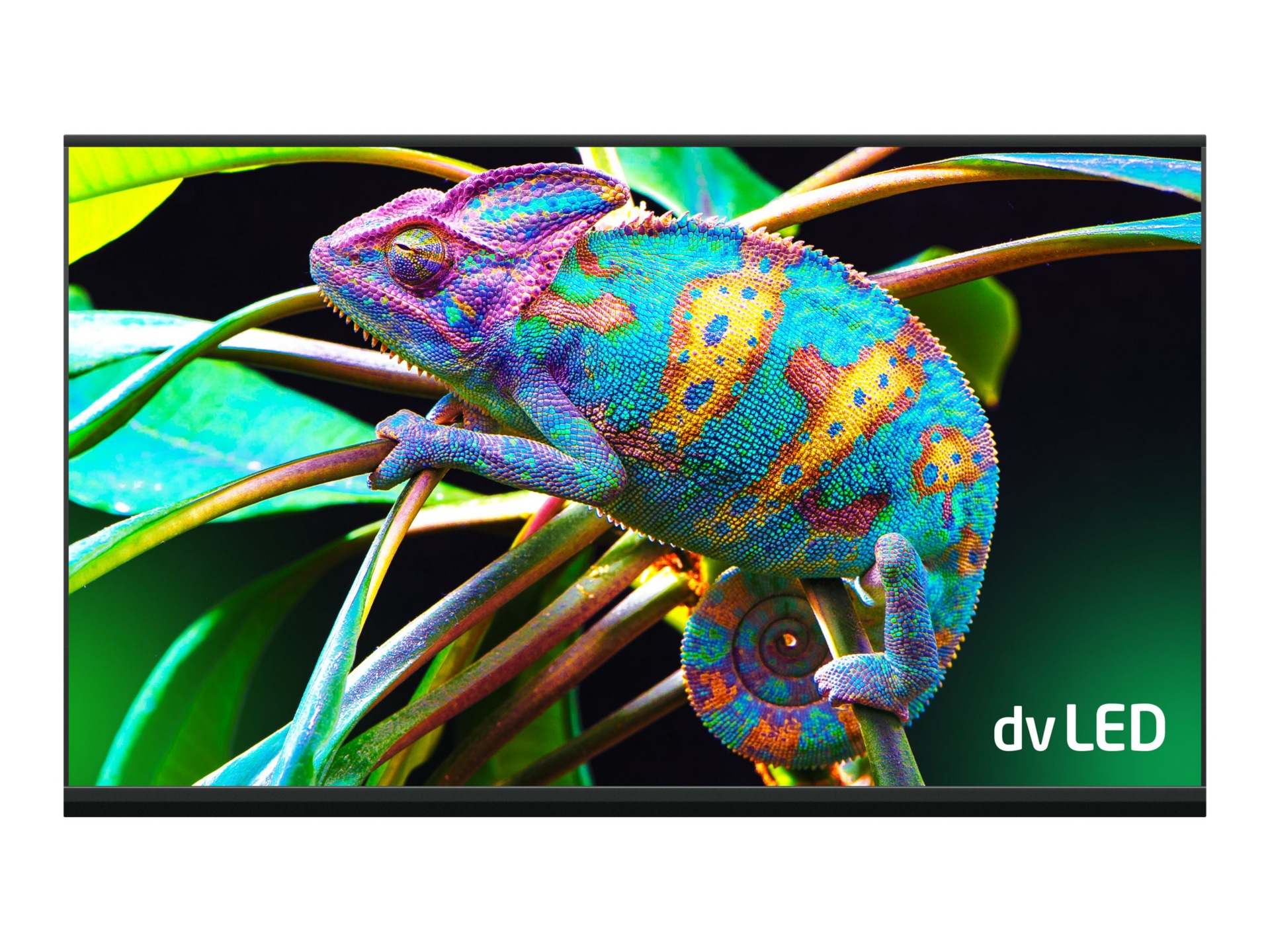 NEC LED-FE019I2-165 FE Series - 165" LED video wall - for digital signage