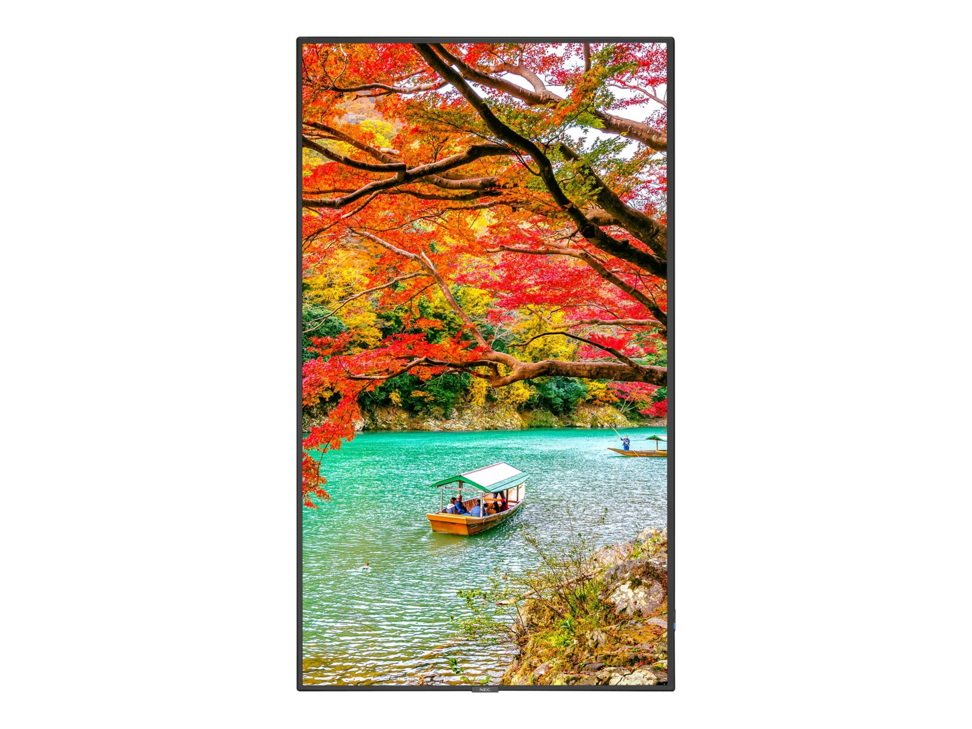 NEC MultiSync MA431-IR MA Series - 43" LED-backlit LCD display - 4K - for d