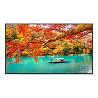 NEC 43" Wide Color Gamut UHD Professional Display with SoC MediaPlayer
