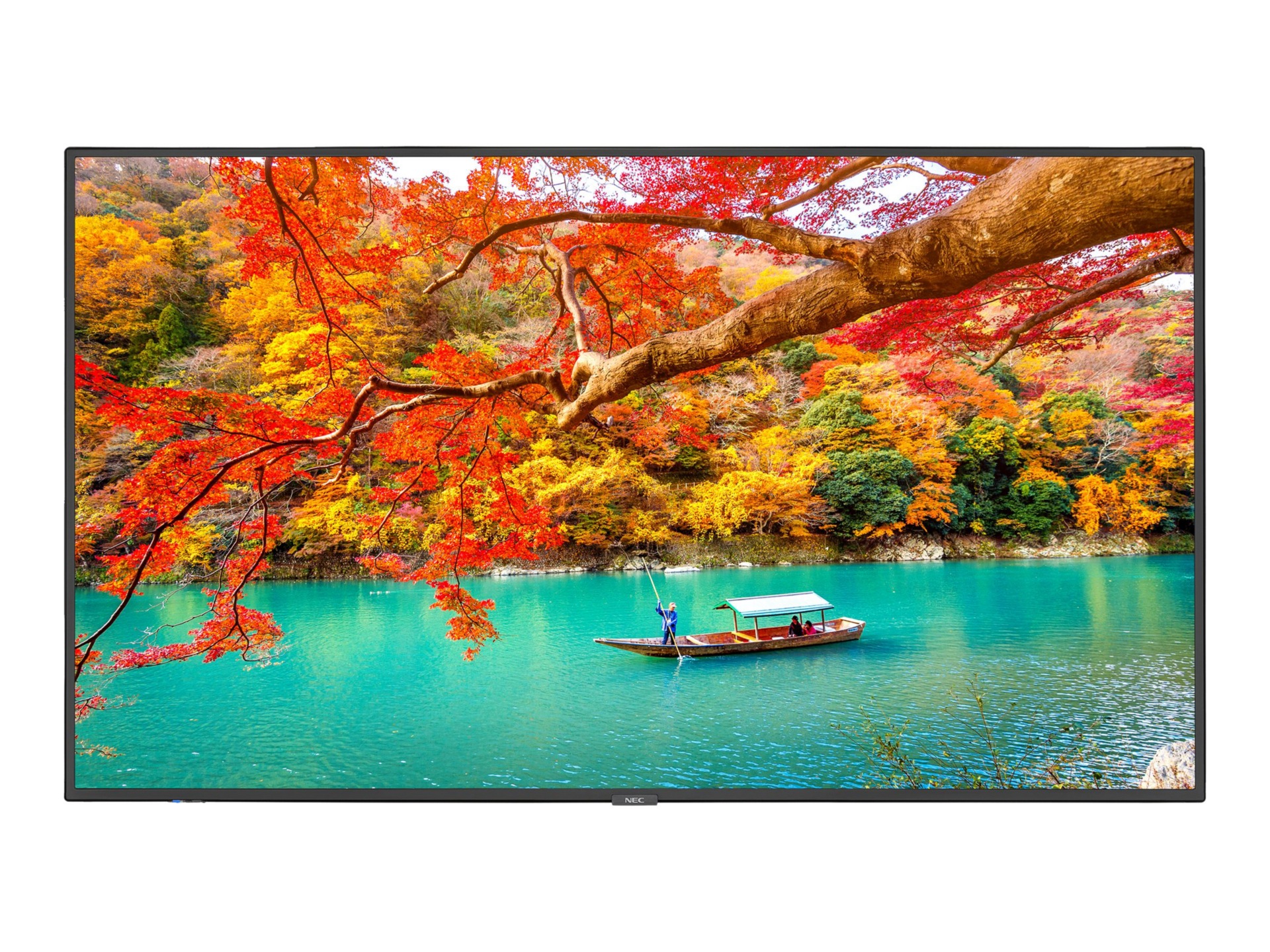 NEC 43IN WIDE COLOR GAMUT UHD DISP