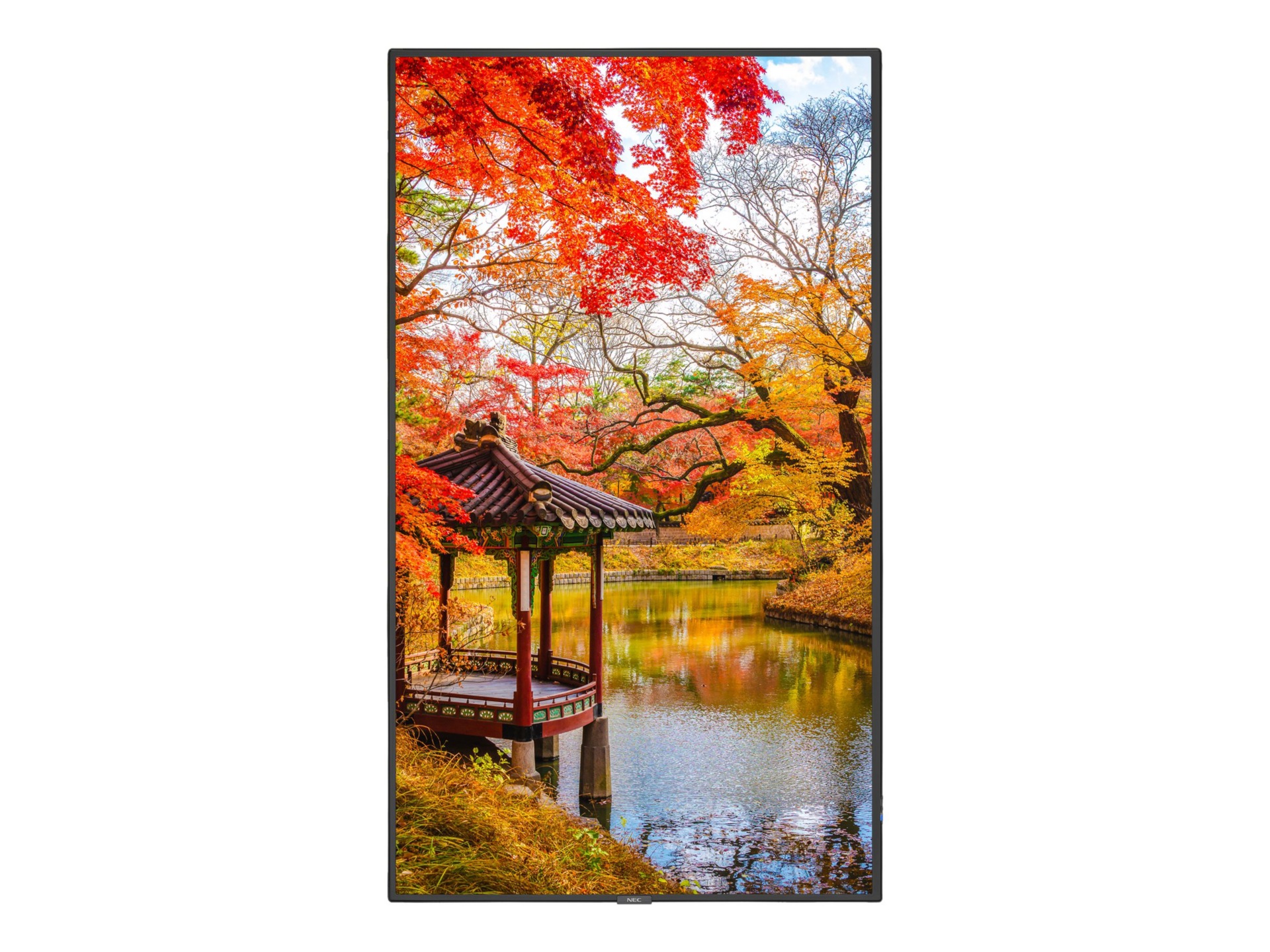 NEC MultiSync MA491-IR MA Series - 49" LED-backlit LCD display - 4K - for digital signage