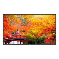 NEC 49" Wide Color Gamut UHD Professional Display with Built-In Intel PC