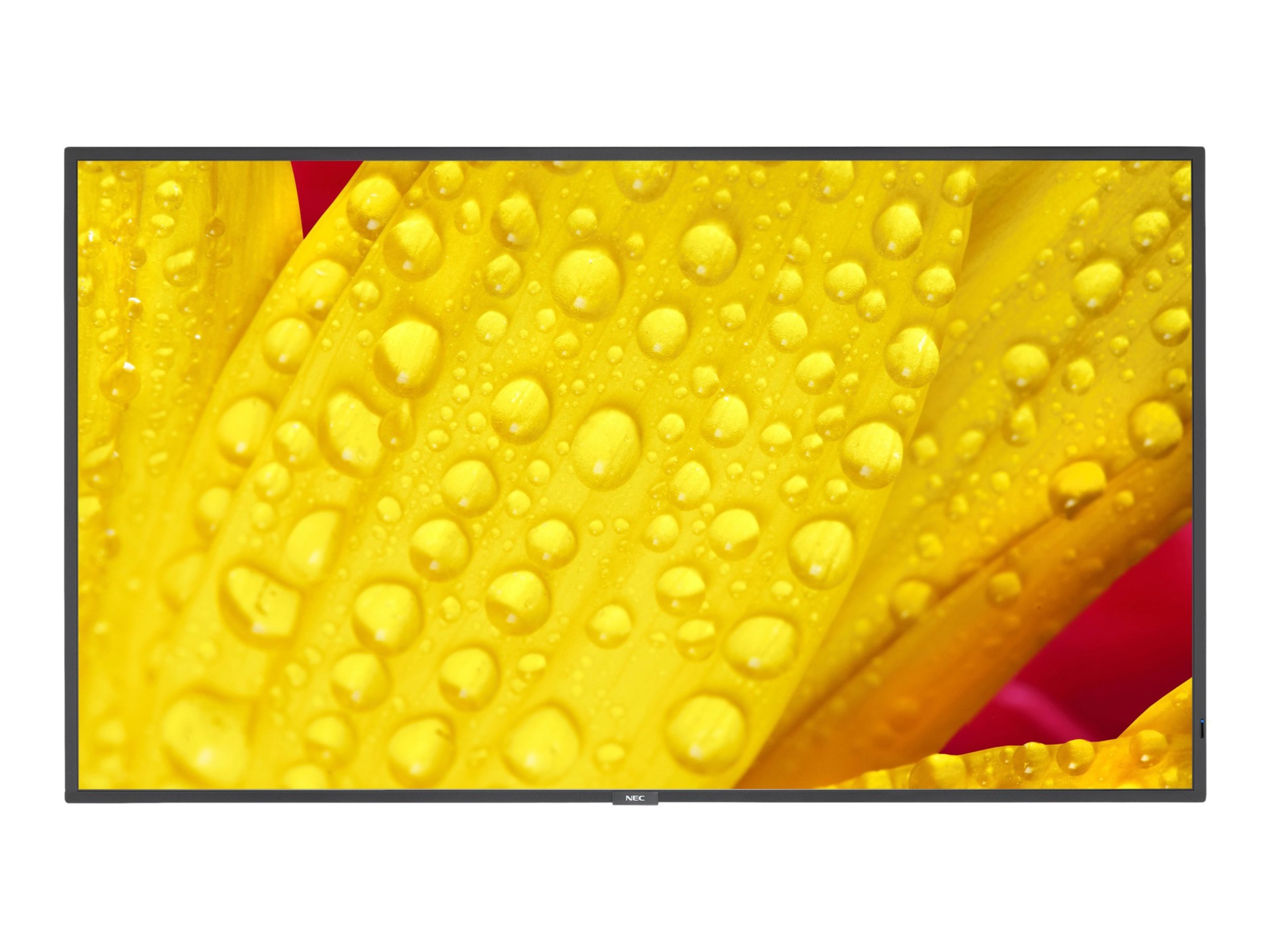 NEC MultiSync ME431-AVT3 ME Series - 43" LED-backlit LCD display - 4K - for digital signage