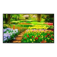 NEC MultiSync M491-IR M Series - 49" LED-backlit LCD display - 4K - for digital signage