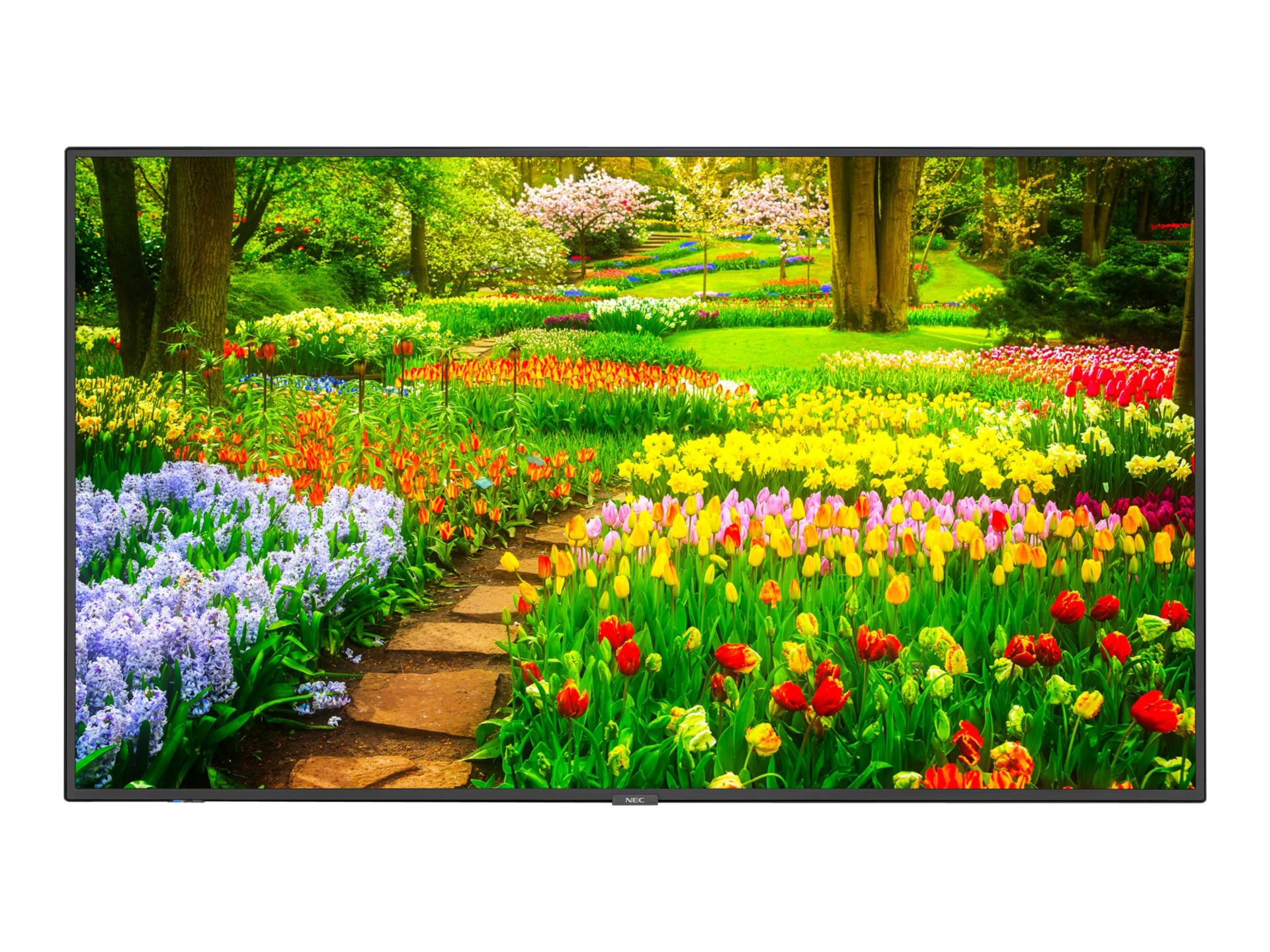 NEC MultiSync M491-PT M Series - 49" LED-backlit LCD display - 4K - for digital signage