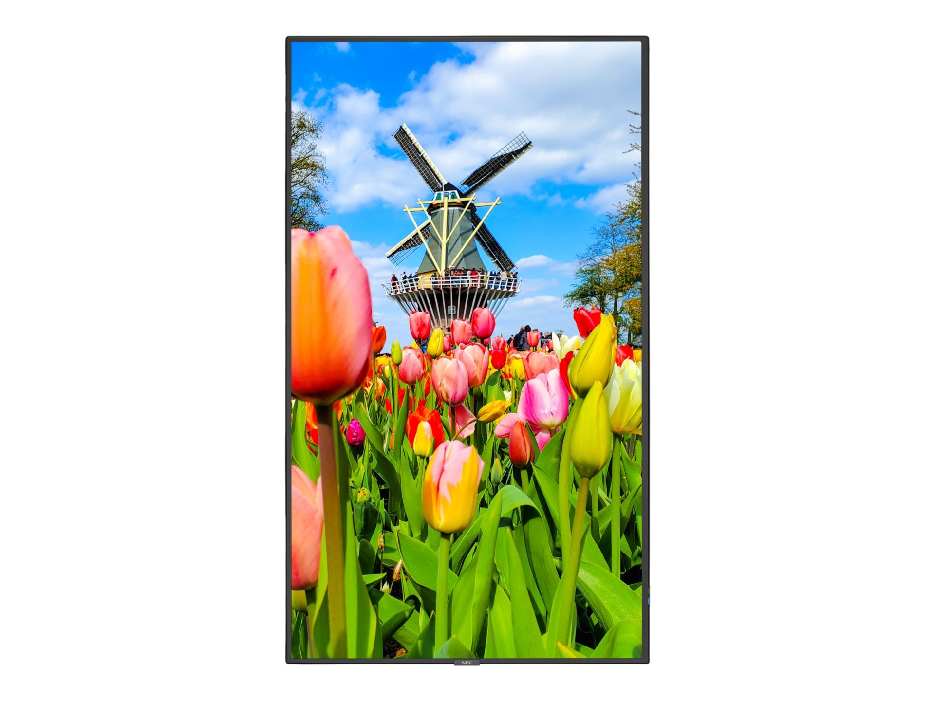 NEC MultiSync M651-IR M Series - 65" LED-backlit LCD display - 4K - for digital signage