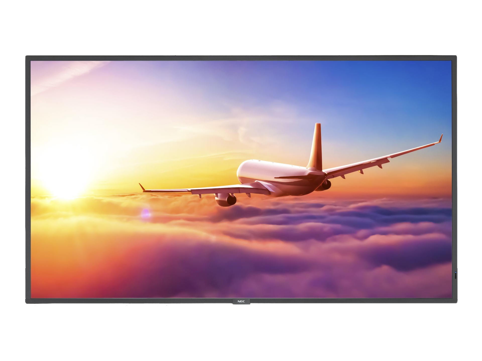 NEC MultiSync P495-PT P Series - 49" LED-backlit LCD display - 4K - for dig