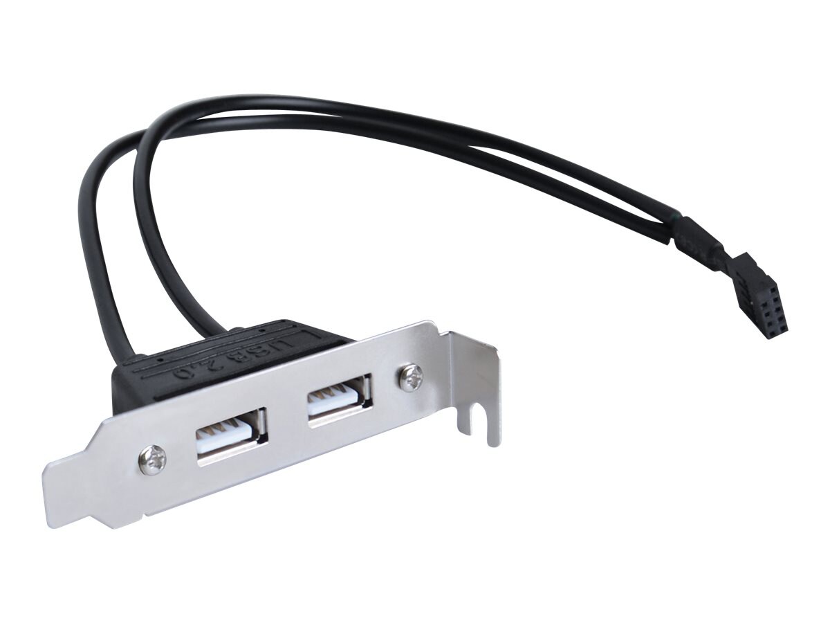 SIIG 2-Port USB 2.0 Low Profile Extension Bracket - USB panel - 9 pin USB 2.0 header to USB - 10.6 in