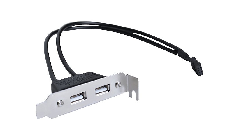SIIG 2-Port USB 2.0 Low Profile Extension Bracket - USB panel - 9 pin USB 2