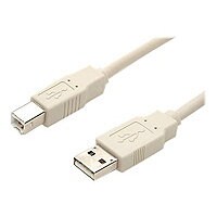 StarTech.com - USB cable - 4 pin USB Type A (M) - 4 pin USB Type B (M) - 10 ft