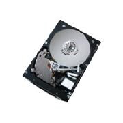 Hitachi Ultrastar 10K300 - hard drive - 300 GB - Ultra320 SCSI