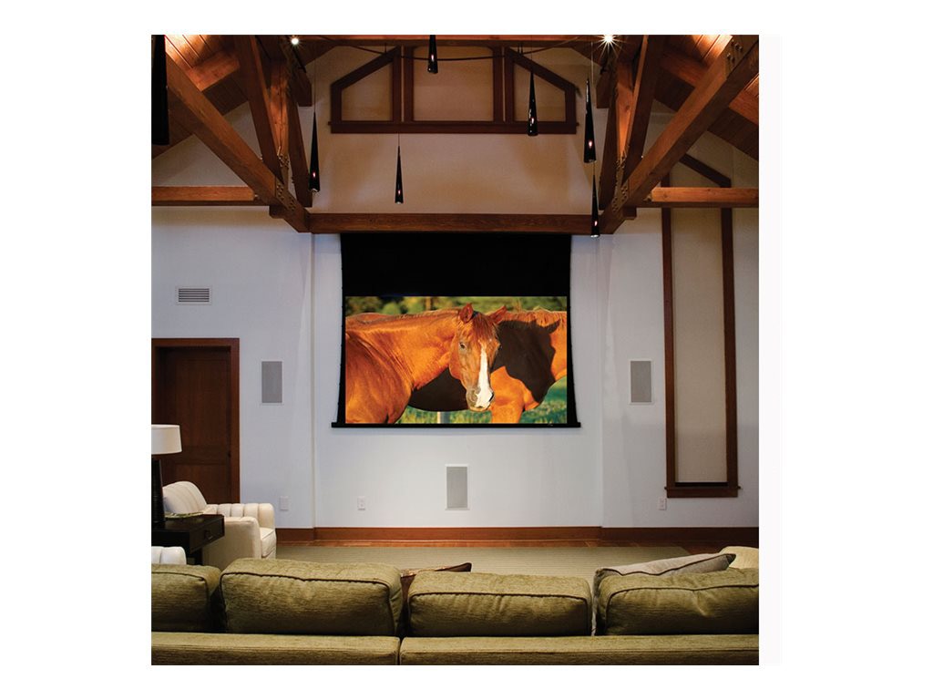 Draper Access V 161" Projection Screen