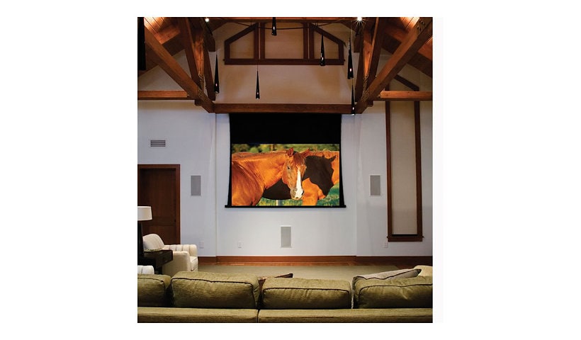 Draper Access/Series V Electric projection screen - 161" (161 in)